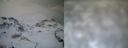 ./images/calvert/buxton1/20161231/buxton120161231_102542.jpg