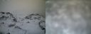 ./images/calvert/buxton1/20161231/buxton120161231_104542.jpg