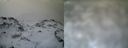 ./images/calvert/buxton1/20161231/buxton120161231_105042.jpg