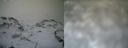 ./images/calvert/buxton1/20161231/buxton120161231_110042.jpg