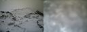 ./images/calvert/buxton1/20161231/buxton120161231_111542.jpg