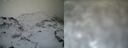 ./images/calvert/buxton1/20161231/buxton120161231_112542.jpg