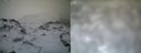 ./images/calvert/buxton1/20161231/buxton120161231_113042.jpg