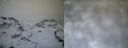 ./images/calvert/buxton1/20161231/buxton120161231_113542.jpg