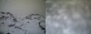 ./images/calvert/buxton1/20161231/buxton120161231_114042.jpg