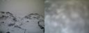 ./images/calvert/buxton1/20161231/buxton120161231_115042.jpg