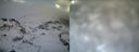 ./images/calvert/buxton1/20161231/buxton120161231_115542.jpg