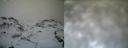 ./images/calvert/buxton1/20161231/buxton120161231_121042.jpg
