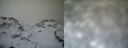 ./images/calvert/buxton1/20161231/buxton120161231_121542.jpg