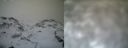 ./images/calvert/buxton1/20161231/buxton120161231_122042.jpg
