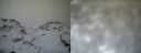 ./images/calvert/buxton1/20161231/buxton120161231_122542.jpg