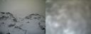 ./images/calvert/buxton1/20161231/buxton120161231_123042.jpg