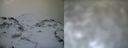 ./images/calvert/buxton1/20161231/buxton120161231_123542.jpg