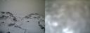 ./images/calvert/buxton1/20161231/buxton120161231_125042.jpg