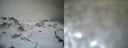 ./images/calvert/buxton1/20161231/buxton120161231_131542.jpg