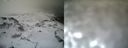 ./images/calvert/buxton1/20161231/buxton120161231_132042.jpg
