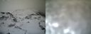 ./images/calvert/buxton1/20161231/buxton120161231_133042.jpg