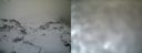 ./images/calvert/buxton1/20161231/buxton120161231_134542.jpg
