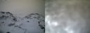 ./images/calvert/buxton1/20161231/buxton120161231_143542.jpg