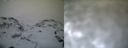 ./images/calvert/buxton1/20161231/buxton120161231_144542.jpg