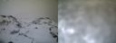 ./images/calvert/buxton1/20161231/buxton120161231_145042.jpg