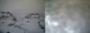 ./images/calvert/buxton1/20161231/buxton120161231_145542.jpg