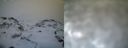 ./images/calvert/buxton1/20161231/buxton120161231_150542.jpg