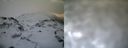 ./images/calvert/buxton1/20161231/buxton120161231_151542.jpg