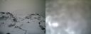 ./images/calvert/buxton1/20161231/buxton120161231_153042.jpg