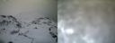 ./images/calvert/buxton1/20161231/buxton120161231_153542.jpg