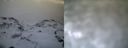 ./images/calvert/buxton1/20161231/buxton120161231_155542.jpg