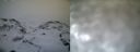 ./images/calvert/buxton1/20161231/buxton120161231_160541.jpg