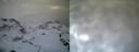 ./images/calvert/buxton1/20161231/buxton120161231_164541.jpg