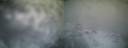 ./images/calvert/buxton1/20170106/buxton120170106_081309.jpg