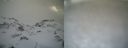 ./images/calvert/buxton1/20170305/buxton120170305_165942.jpg