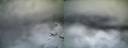 ./images/calvert/buxton1/20171116/buxton120171116_072953.jpg