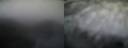 ./images/calvert/buxton1/20181201/buxton120181201_080000.jpg