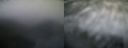 ./images/calvert/buxton1/20181201/buxton120181201_082959.jpg
