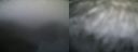 ./images/calvert/buxton1/20181201/buxton120181201_090000.jpg