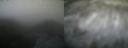 ./images/calvert/buxton1/20181201/buxton120181201_113000.jpg