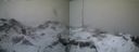 ./images/calvert/buxton1/20210322/buxton120210322_075002.jpg