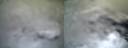 ./images/calvert/buxton1/20210401/buxton120210401_065002.jpg