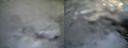 ./images/calvert/buxton1/20210401/buxton120210401_082503.jpg