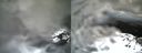 ./images/calvert/buxton1/20210401/buxton120210401_123503.jpg