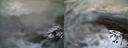 ./images/calvert/buxton1/20210401/buxton120210401_125503.jpg