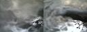 ./images/calvert/buxton1/20210401/buxton120210401_131003.jpg