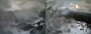 ./images/calvert/buxton1/20210401/buxton120210401_131502.jpg