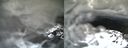 ./images/calvert/buxton1/20210401/buxton120210401_134002.jpg