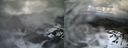 ./images/calvert/buxton1/20210401/buxton120210401_135502.jpg