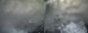 ./images/calvert/buxton1/20210401/buxton120210401_172503.jpg